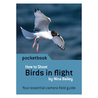 Birds In Flight Photography Pocketbook Nina Bailey copy